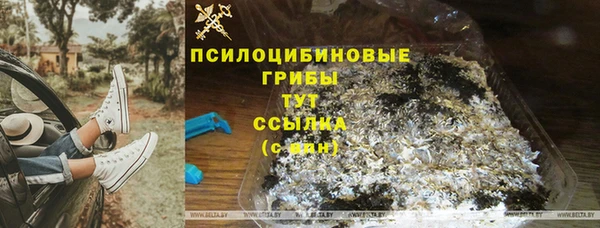 2c-b Балахна