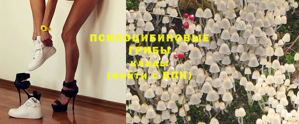 мескалин Баксан