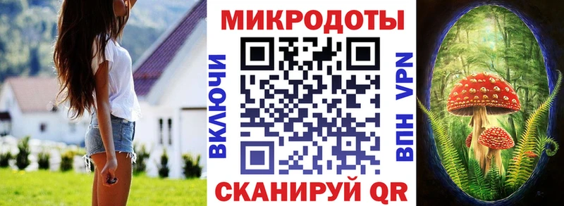 где купить наркоту Пустошка Псилоцибиновые грибы Psilocybe