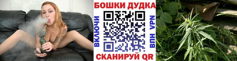 Канабис планчик  OMG маркетплейс  площадка Telegram  Пустошка 